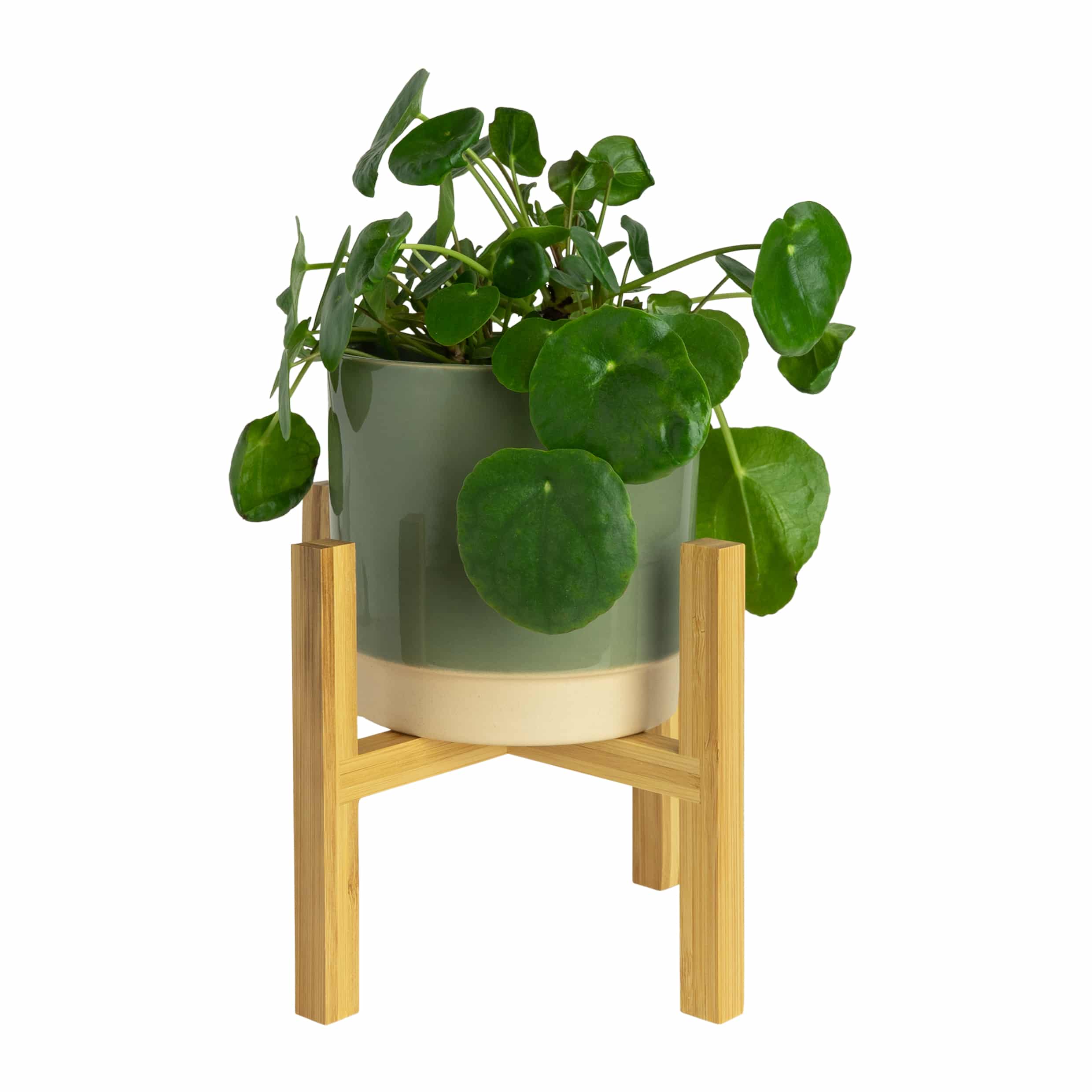 houten bloempot
