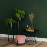 Decoratieve plateau