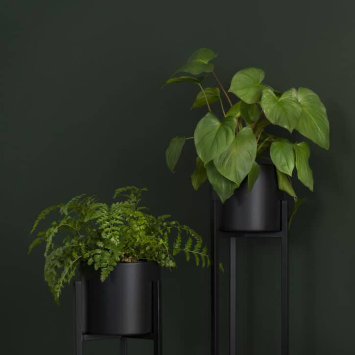 plantenzuilen