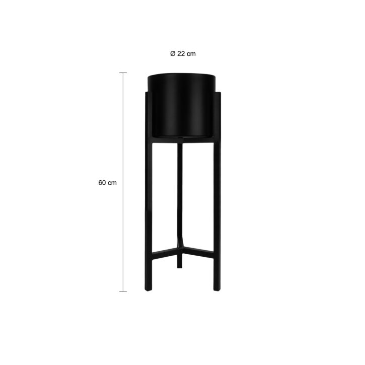 60 cm hoge planten standaard