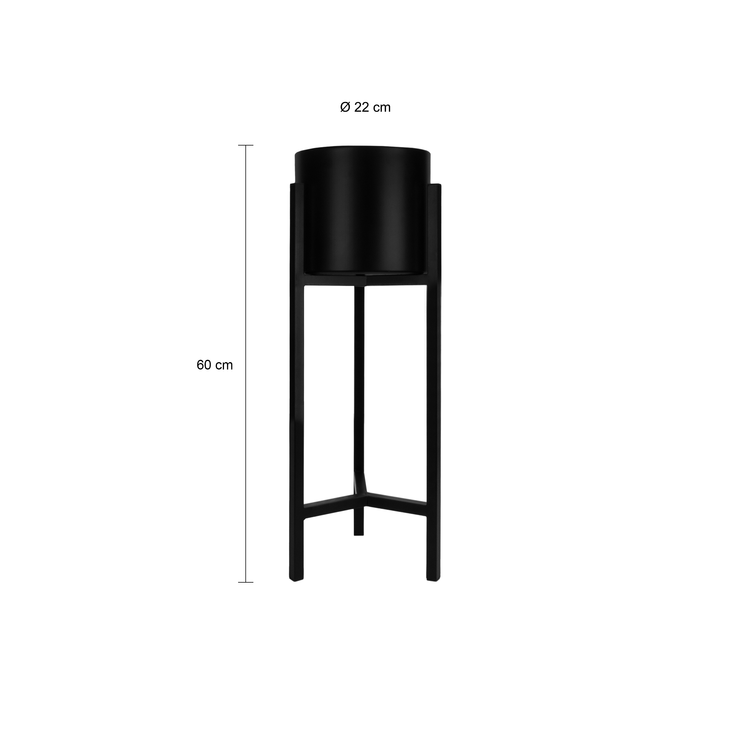 60 cm hoge planten standaard
