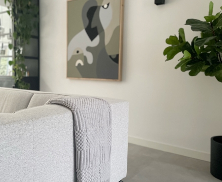 woonkamer, bank, plaid, plant, schilderij