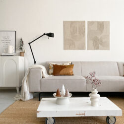 Binnenkijken bij Shirley - Scandinavisch minimalistisch interieur