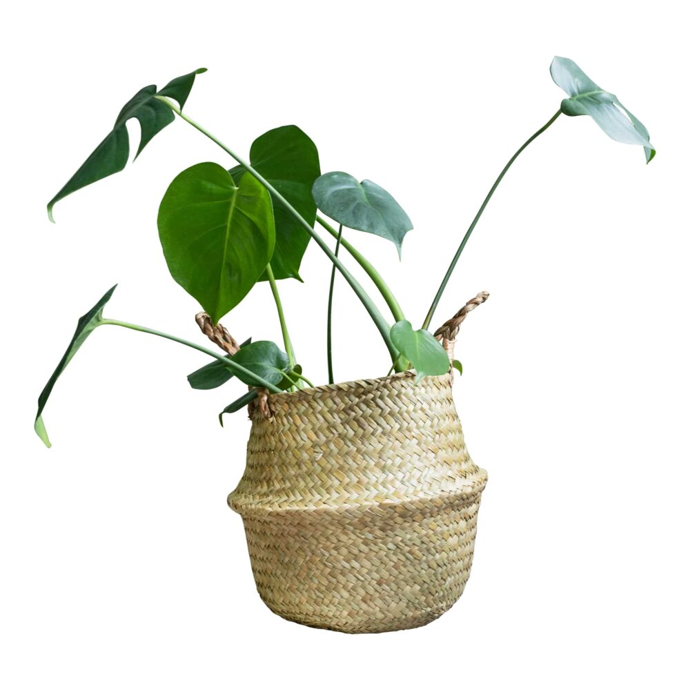 Plantenmand vlas handvaten