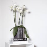 Plantenpot met een diameter van 17 cm