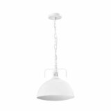 Industriële hanglampen