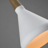 Wit Scandinavische lamp met hout