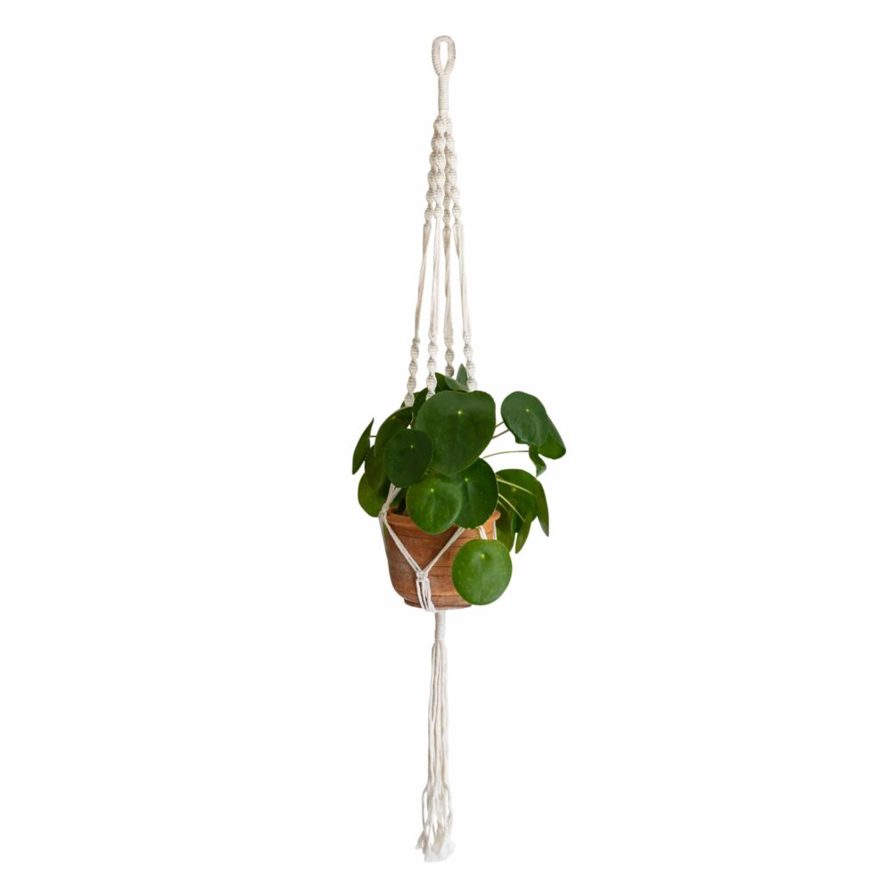 Plantenhanger