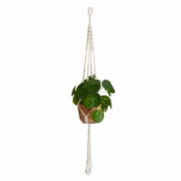 Plantenhanger