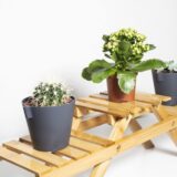 Trapje voor binnen planten
